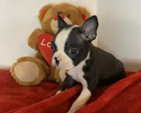 processed/056c358b-65c8-48cd-bd56-63333433cc44/listing/4314eb09-1284-4af5-8db3-b27f922c51e6/30257e30-aa67-4b05-9dde-ea5d98cba0f4