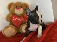 processed/056c358b-65c8-48cd-bd56-63333433cc44/listing/4314eb09-1284-4af5-8db3-b27f922c51e6/3bbc0e9f-2ba1-4f08-8181-a6404f5a07c8