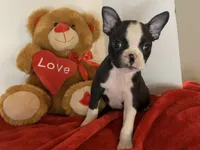 processed/056c358b-65c8-48cd-bd56-63333433cc44/listing/4314eb09-1284-4af5-8db3-b27f922c51e6/88ffa362-b33e-464b-b182-72acfb0efe2c