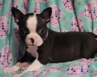 processed/056c358b-65c8-48cd-bd56-63333433cc44/listing/4314eb09-1284-4af5-8db3-b27f922c51e6/e0a347d5-c299-4e51-abb0-fa1c4b980f15