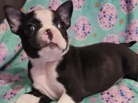 processed/056c358b-65c8-48cd-bd56-63333433cc44/listing/4314eb09-1284-4af5-8db3-b27f922c51e6/fc81cc98-6e57-45d3-ae2e-db8486969c67