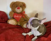 processed/056c358b-65c8-48cd-bd56-63333433cc44/listing/8fd0ed04-8895-4071-9a5b-2a454b22062b/1361e67a-3473-4822-9f63-d4e11b7818df