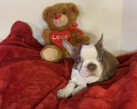 processed/056c358b-65c8-48cd-bd56-63333433cc44/listing/8fd0ed04-8895-4071-9a5b-2a454b22062b/21630c33-b829-4827-a128-d2565c024dab