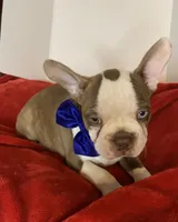 processed/056c358b-65c8-48cd-bd56-63333433cc44/listing/8fd0ed04-8895-4071-9a5b-2a454b22062b/262e2652-190c-405d-b0aa-b34e633cc4e5