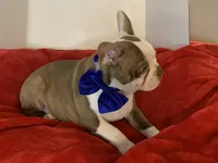 processed/056c358b-65c8-48cd-bd56-63333433cc44/listing/8fd0ed04-8895-4071-9a5b-2a454b22062b/63181ef0-8a56-404a-a67c-7bb75e3ca193