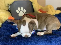 processed/056c358b-65c8-48cd-bd56-63333433cc44/listing/8fd0ed04-8895-4071-9a5b-2a454b22062b/8e736d93-7311-45de-9e83-b96b89d565b2