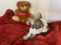 processed/056c358b-65c8-48cd-bd56-63333433cc44/listing/8fd0ed04-8895-4071-9a5b-2a454b22062b/ccc9b6e6-bb37-4a1e-9c3c-da5d0deb931a