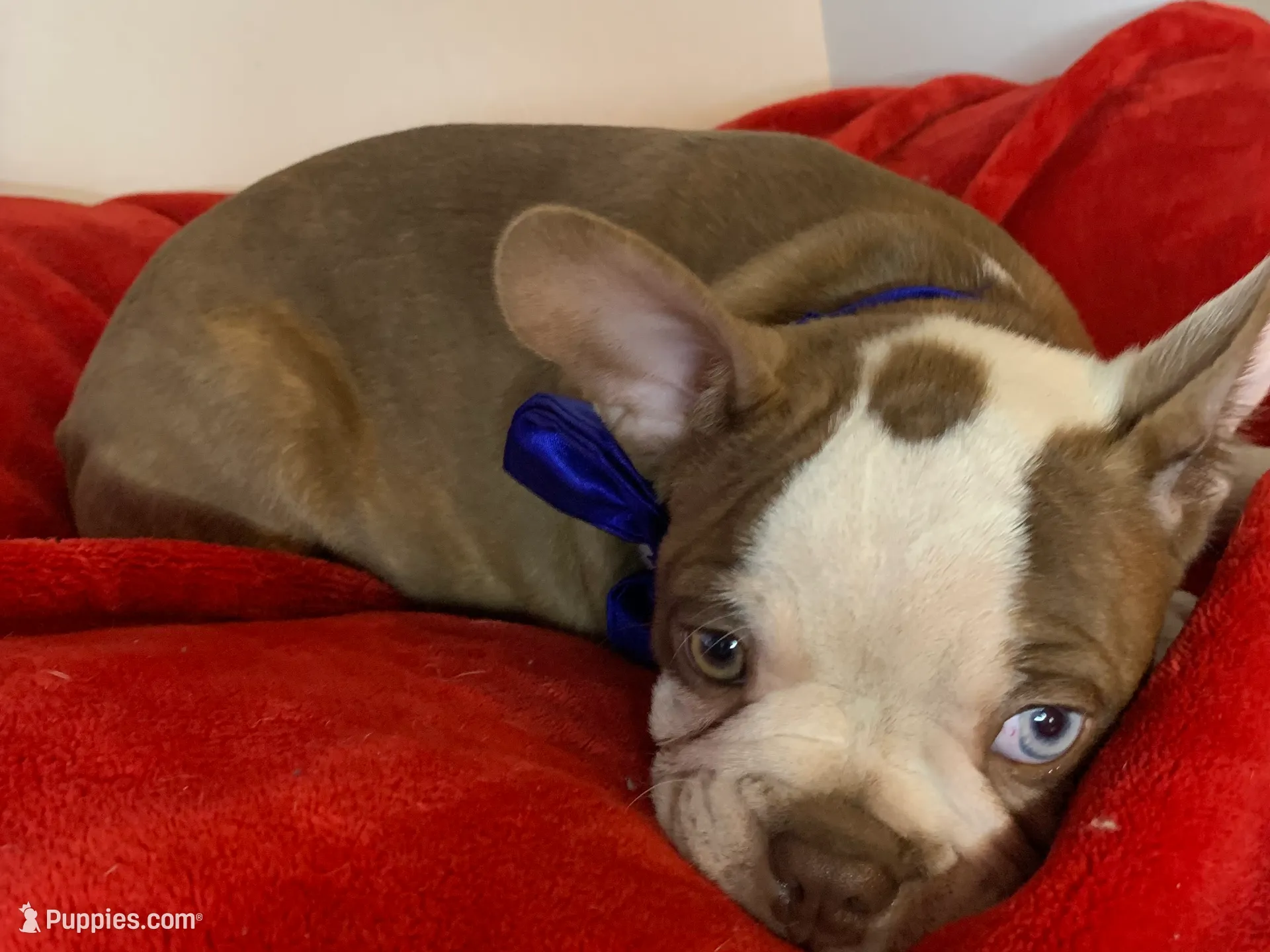 processed/056c358b-65c8-48cd-bd56-63333433cc44/listing/8fd0ed04-8895-4071-9a5b-2a454b22062b/e51d0abe-16b5-4b2f-aeea-e46a8e970566