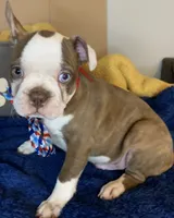 processed/056c358b-65c8-48cd-bd56-63333433cc44/listing/8fd0ed04-8895-4071-9a5b-2a454b22062b/f37f5d59-ddca-4006-a3a0-92a797489506