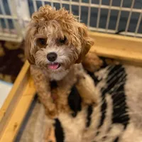 processed/056f7f33-7ac5-4851-838b-d93c14352013/facility/0a4cdbfd-68ce-435e-b0d0-e0d6b2a9b565