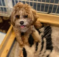 processed/056f7f33-7ac5-4851-838b-d93c14352013/facility/0a4cdbfd-68ce-435e-b0d0-e0d6b2a9b565