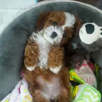 processed/056f7f33-7ac5-4851-838b-d93c14352013/facility/0ce97971-7b6f-4fcc-bbf1-eb757af071f0