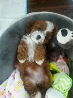 processed/056f7f33-7ac5-4851-838b-d93c14352013/facility/0ce97971-7b6f-4fcc-bbf1-eb757af071f0