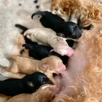 processed/056f7f33-7ac5-4851-838b-d93c14352013/facility/1c1be909-64e0-48e2-bf63-7aafc94e706d