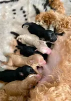 processed/056f7f33-7ac5-4851-838b-d93c14352013/facility/1c1be909-64e0-48e2-bf63-7aafc94e706d