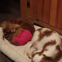 processed/056f7f33-7ac5-4851-838b-d93c14352013/facility/4205b5b3-7a7e-46ee-82b4-ad1a18ce44d9