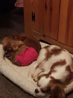 processed/056f7f33-7ac5-4851-838b-d93c14352013/facility/4205b5b3-7a7e-46ee-82b4-ad1a18ce44d9