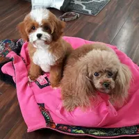 processed/056f7f33-7ac5-4851-838b-d93c14352013/facility/665113a2-118f-4141-9a24-264488872aa7