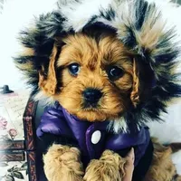 processed/056f7f33-7ac5-4851-838b-d93c14352013/facility/861b238b-8701-426b-a574-2c0c453b2087