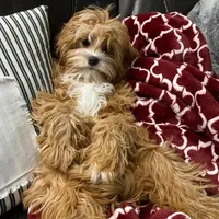 processed/056f7f33-7ac5-4851-838b-d93c14352013/facility/9aaf0e6a-e476-4c5d-9936-3369cce4f3c0