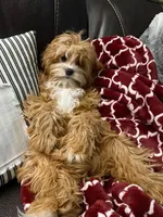 processed/056f7f33-7ac5-4851-838b-d93c14352013/facility/9aaf0e6a-e476-4c5d-9936-3369cce4f3c0