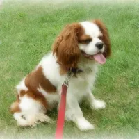 processed/056f7f33-7ac5-4851-838b-d93c14352013/facility/ecee9ac6-639b-429e-b674-f88f35d63b99