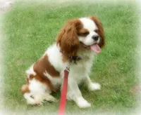 processed/056f7f33-7ac5-4851-838b-d93c14352013/facility/ecee9ac6-639b-429e-b674-f88f35d63b99