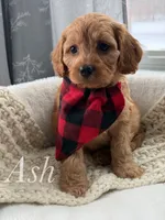 processed/056f7f33-7ac5-4851-838b-d93c14352013/listing/199da075-7bb0-4a70-a025-f1c46c5839da/fc95c681-3351-4659-b6a9-ef68f48f318b