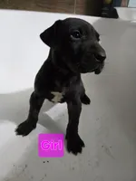 processed/056fa765-5db3-4032-a014-be7309974d4d/listing/a9406b4e-959b-4d0b-98d9-844228b41516/47491169-7911-41b7-bb9a-3acdb152dec5