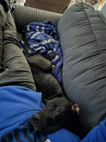 processed/056fa765-5db3-4032-a014-be7309974d4d/listing/a9406b4e-959b-4d0b-98d9-844228b41516/80c7db09-4cc9-4e08-afde-cd1e0a50c451