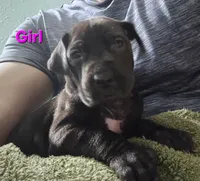 processed/056fa765-5db3-4032-a014-be7309974d4d/listing/a9406b4e-959b-4d0b-98d9-844228b41516/87be9f61-d1f2-4e00-b89f-bff9e7401abf