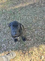 processed/056fa765-5db3-4032-a014-be7309974d4d/listing/a9406b4e-959b-4d0b-98d9-844228b41516/aeaa2be2-23c3-4447-8fa8-7ee1bcaa51b5