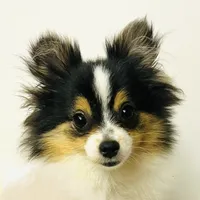 processed/05754cdb-5daf-43ed-97b6-edcfb05b0c8e/facility/2d2cda35-3ea2-48e6-b9e1-ae282cf0da0d