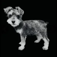 processed/05754cdb-5daf-43ed-97b6-edcfb05b0c8e/facility/32f077e6-cab7-4511-89a8-5c73b480f5ba