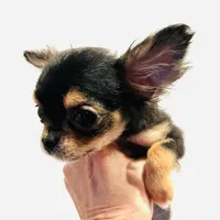 processed/05754cdb-5daf-43ed-97b6-edcfb05b0c8e/facility/388cafcc-acc7-40ca-a0b2-c7c5cd1548c6