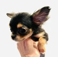 processed/05754cdb-5daf-43ed-97b6-edcfb05b0c8e/facility/388cafcc-acc7-40ca-a0b2-c7c5cd1548c6