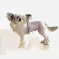 processed/05754cdb-5daf-43ed-97b6-edcfb05b0c8e/facility/d455601d-7ab7-443c-bccc-38a61729020f