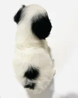 processed/05754cdb-5daf-43ed-97b6-edcfb05b0c8e/listing/7c6f3e1e-8014-4641-892b-c9938552bba1/1849d236-493b-4f99-9346-4a59fdb34c8c