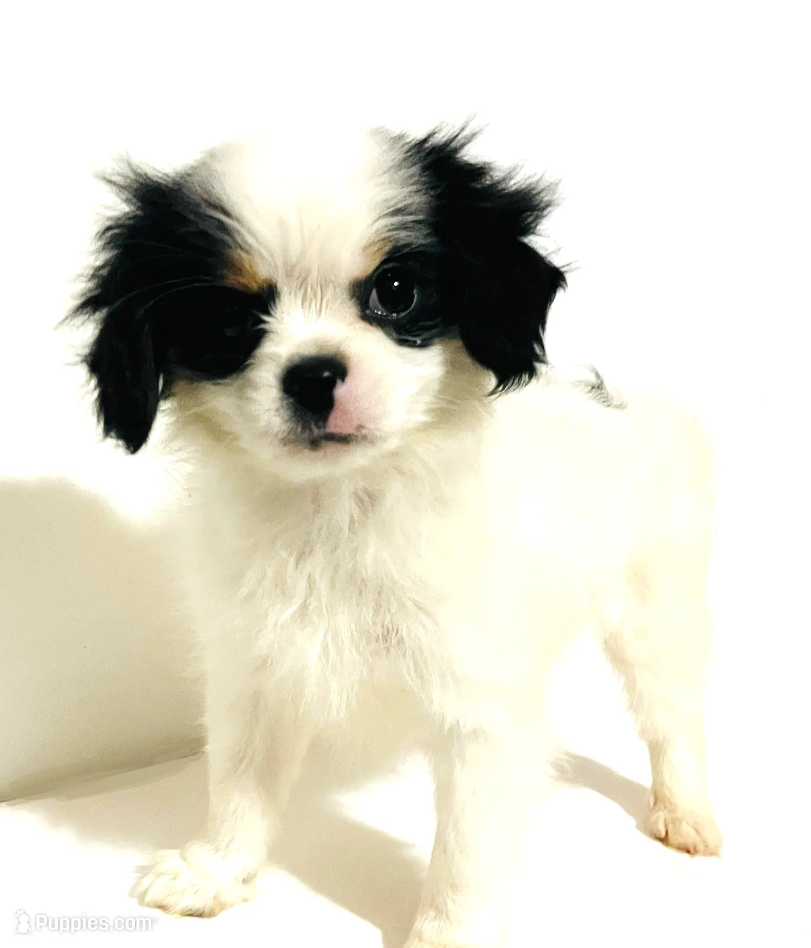 processed/05754cdb-5daf-43ed-97b6-edcfb05b0c8e/listing/7c6f3e1e-8014-4641-892b-c9938552bba1/fea9850e-45a9-4823-b10e-62e6bc908559