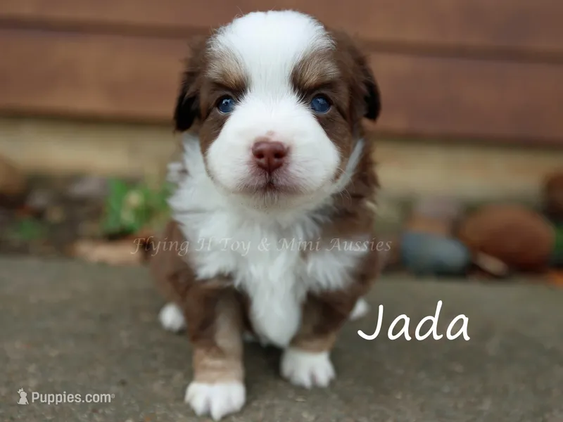 Jada