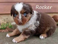 processed/05790062-eee4-4771-b9a8-5d63679581cb/listing/389156bd-fa50-401b-aa83-2ca45a687c09/273880d7-d872-491c-b74e-481fd1c2116b