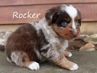 processed/05790062-eee4-4771-b9a8-5d63679581cb/listing/389156bd-fa50-401b-aa83-2ca45a687c09/51379b18-2b52-4428-b670-bf86d500c20c