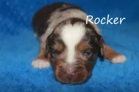 processed/05790062-eee4-4771-b9a8-5d63679581cb/listing/389156bd-fa50-401b-aa83-2ca45a687c09/74821ed6-a990-4628-b5ea-8c5c183d37dd