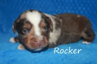 processed/05790062-eee4-4771-b9a8-5d63679581cb/listing/389156bd-fa50-401b-aa83-2ca45a687c09/d6d685c0-57af-48d5-aa08-a82f79855467