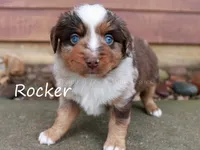 processed/05790062-eee4-4771-b9a8-5d63679581cb/listing/389156bd-fa50-401b-aa83-2ca45a687c09/d9f8b569-9db0-42fb-a29c-0916caa35b27