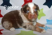 processed/05790062-eee4-4771-b9a8-5d63679581cb/listing/389156bd-fa50-401b-aa83-2ca45a687c09/e554cb4d-822b-4bcd-8178-76bd37e40e83