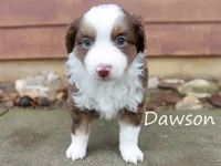 processed/05790062-eee4-4771-b9a8-5d63679581cb/listing/d0cb5cb8-e253-4df6-891e-3f96cf0f83dc/1b3d78dc-9443-4e4a-8482-505b5faf83fa