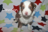 processed/05790062-eee4-4771-b9a8-5d63679581cb/listing/d0cb5cb8-e253-4df6-891e-3f96cf0f83dc/57349ff2-03b2-4a15-b643-610d64650e66