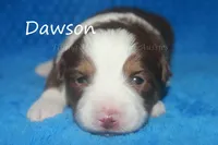 processed/05790062-eee4-4771-b9a8-5d63679581cb/listing/d0cb5cb8-e253-4df6-891e-3f96cf0f83dc/809fc7ee-3f3c-4a85-a96a-c62c19210e42