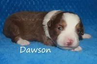 processed/05790062-eee4-4771-b9a8-5d63679581cb/listing/d0cb5cb8-e253-4df6-891e-3f96cf0f83dc/a5c22ba8-0d63-4337-9e28-1254bf7cc454